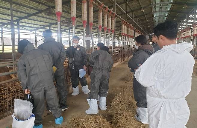 [창녕=뉴시스] 한우농가가 축산현장 맞춤형 컨설팅을 받고 있다. (사진=창녕군 제공) 2024.03.07. photo@newsis.com *재판매 및 DB 금지