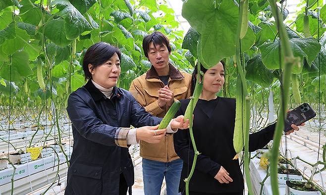 송미령 농림축산식품부 장관(왼쪽 첫번째)이 지난 1월 경북 상주의 한 스마트팜에서 재배중인 오이를 둘러보고 있는 모습. 농림축산식품부 제공