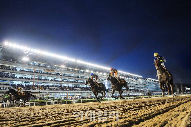 경주마의 힘찬 질주가 펼쳐지는 야간 경마 모습(사진=한국마사회)