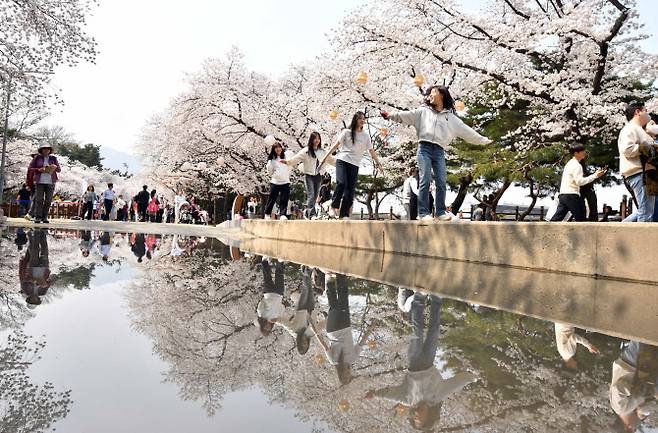 지난해 개최된 렛츠런파크 서울 벚꽃축제 모습 (사진=한국마사회)