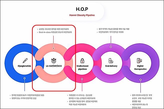 한미약품은 임주현 사장(한미사이언스 전략기획실장)의 리더십 아래 비만 치료에서부터 관리와 예방에 이르는 전주기적 치료 방법을 모색하는 'H.O.P 프로젝트'를 적극 추진해 나가고 있다. /사진=한미약품