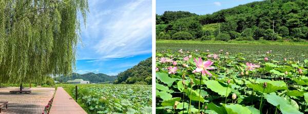함안 가볼만한 곳 BEST 7 / 온라인 커뮤니티
