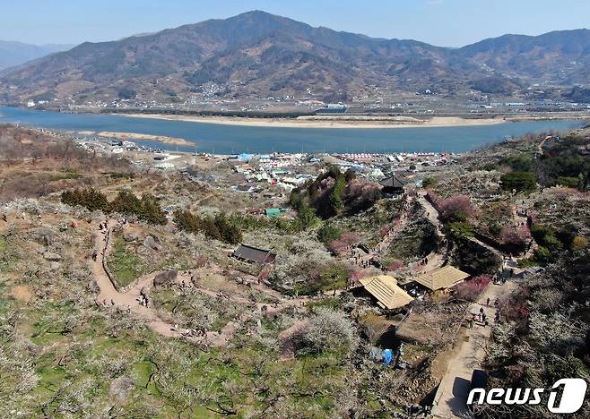 광양매화축제가 개막한 8일 전남 광양시 매화마을을 찾은 상춘객들이 봄 기운을 만끽하고 있다. 광양매화축제는 섬진강변과 청매실농원을 중심으로 오는 이날부터 17일까지 열린다. 2024.3.8/뉴스1 ⓒ News1 김진환 기자