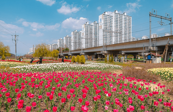온라인 커뮤니티