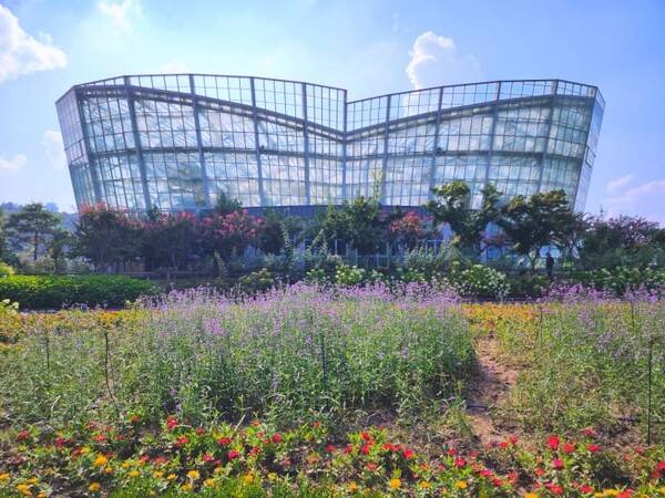 거창 가볼만한 곳 BEST 5 / 온라인 커뮤니티