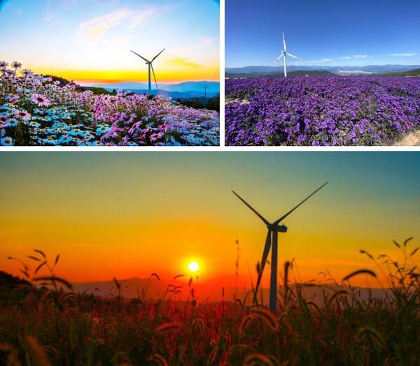 거창 가볼만한 곳 BEST 5 / 온라인 커뮤니티