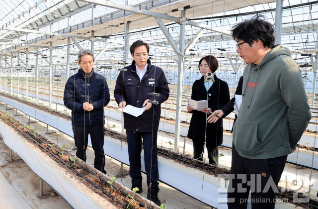 ▲우승희 영암군수가 8일 멜론·딸기 재배 농가를 방문해 피해 상황을 듣고, 구제 방안에 대해 이야기를 나눴다.ⓒ영암군