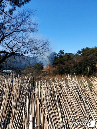 10일 오전 10시 59분쯤 전남 완도군 고금면 한 야산에서 화재가 발생해 연기가 피어오르고 있다.(산림당국 제공)2024.3.10/뉴스1