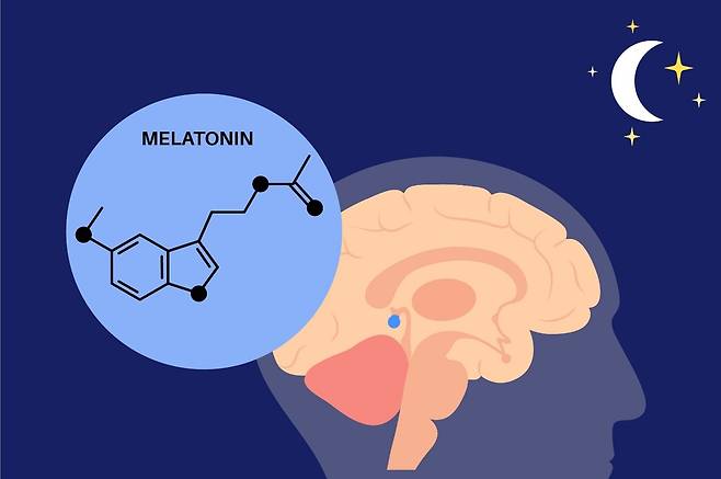 멜라토닌은 활성산소를 없애는 기능을 한다. [사진=클립아트코리아]