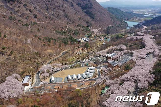 월아산 숲속의 진주 전경(진주시 제공).