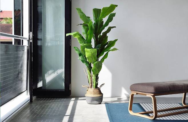 그림자의 형태로 사진 조작 여부를 확인할 수 있다