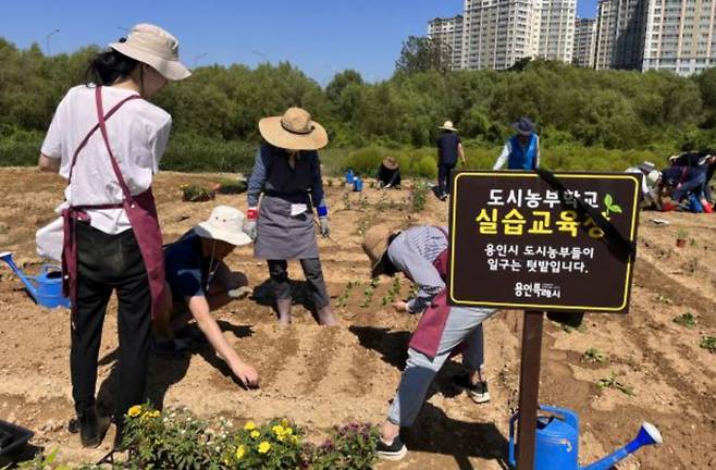 도시농부학교 텃밭교육에 참가한 용인 시민들이 농작물을 심고 있다. / 사진제공=용인특례시