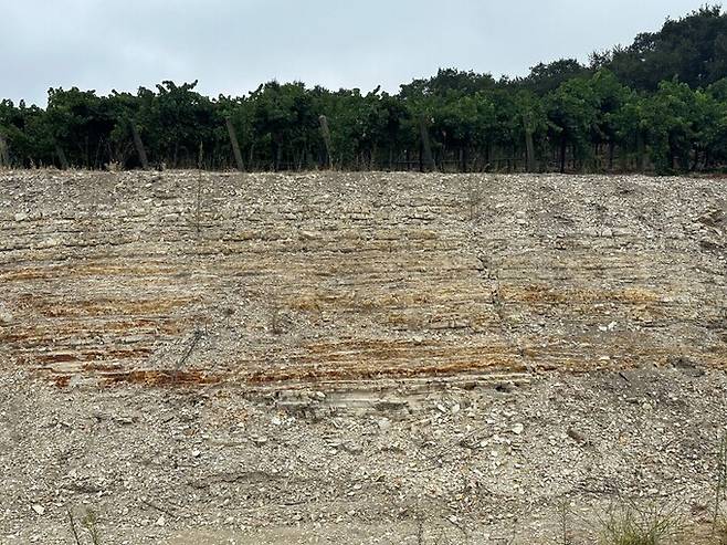 파소 로블스 토양 구조.