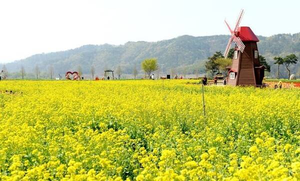 창녕 가볼만한 곳 BEST 5 / 온라인 커뮤니티