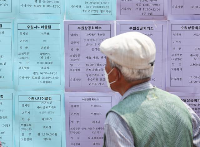 한 구직자가 경기 수원시 '노인 일자리 채용한마당'에서 채용 정보 게시판을 살펴보고 있다. 연합뉴스