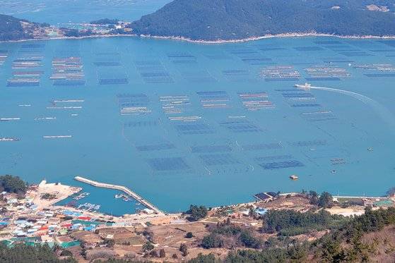 백운산에서 본 생일도와 평일도 사이의 바다는 온통 양식장이다. 마치 봄이 온 듯 양식장의 부표들이 알록달록하다.