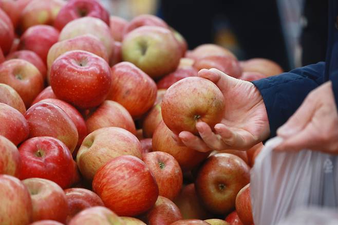서울 시내 한 대형마트에서 시민이 사과를 고르고 있다.   연합뉴스