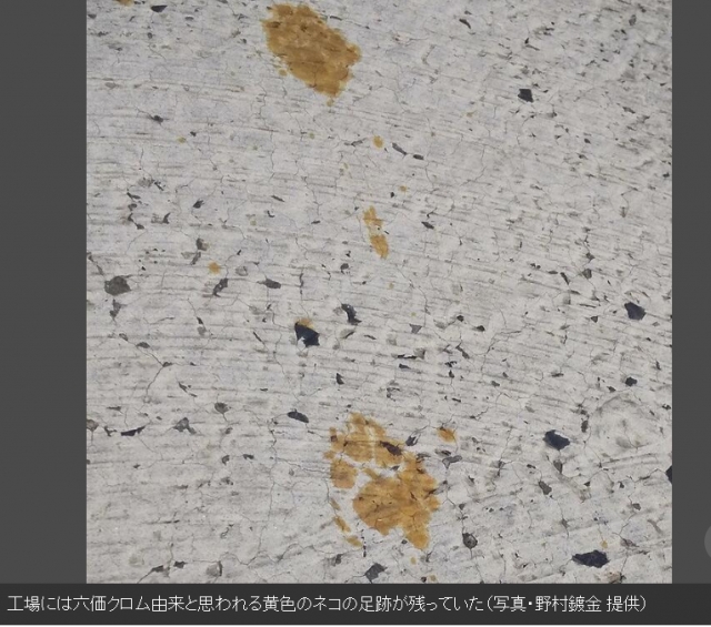 6가크롬 수조 근처에서 발견된 고양이의 발자국. 스마트 플래시 보도 캡처