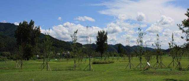 가평파크골프장 전경. 조성 당시 심어놓은 나무가 자라면 울창한 그늘이 생길 것으로 기대된다. 가평파크골프장 제공