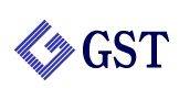 GST CI