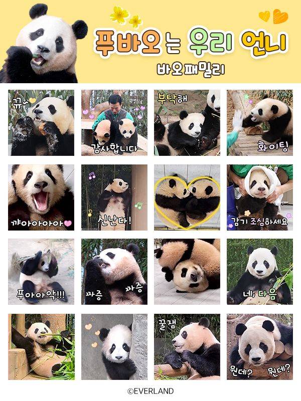 에버랜드가 출시한 '푸바오는 우리 언니' 이모티콘. 삼성물산 리조트부문 제공