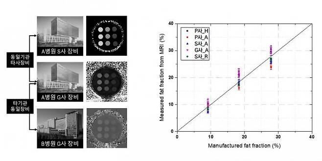 유화 표준물질을 활용해 비교한 다기관‧다기종 MRI의 지방분율 측정값
