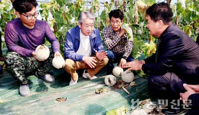강호동 농협중앙회장(왼쪽 두번째)이 13일 전남 나주시 세지면에 있는 비닐하우스에서 이은상 세지농협 조합장(맨 오른쪽), 이상기후로 피해를 본 멜론농가들과 대화를 나누고 있다. 멜론 주산지인 세지면 일대는 지난달 잦은 비로 일조량이 부족해 겨우내 재배한 멜론 대부분이 썩고 무르는 피해가 발생했다. 나주=김병진 기자 fotokim@nongmin.com