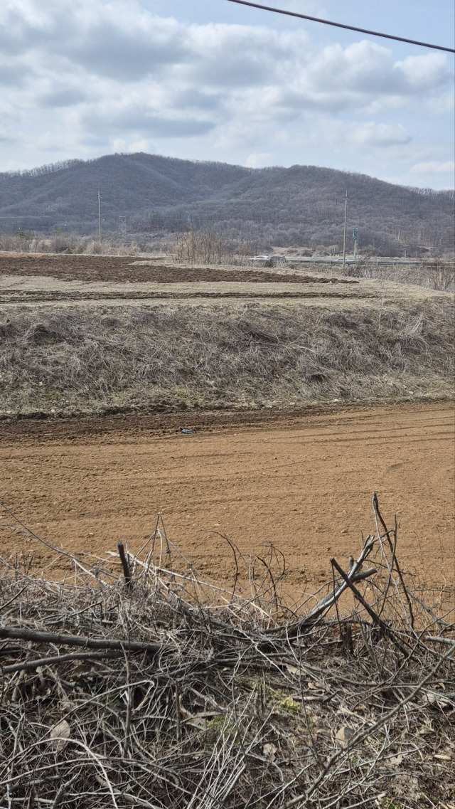 파주시 파평면 불법 성토 현장.