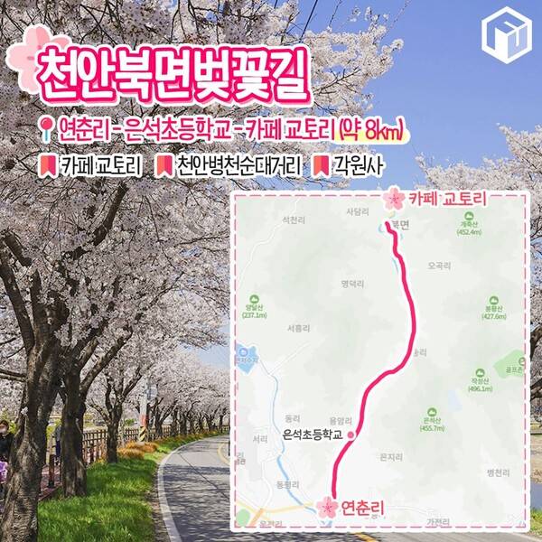 벚꽃 드라이브 코스 추천 / ⓒ여행톡톡