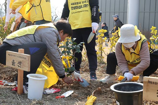 4·16 생명안전공원 부지에서 열린 4·16생명안전나무 심기 행사에서 유가족들과 시민들이 나무를 심고 있다. 김혜윤 기자