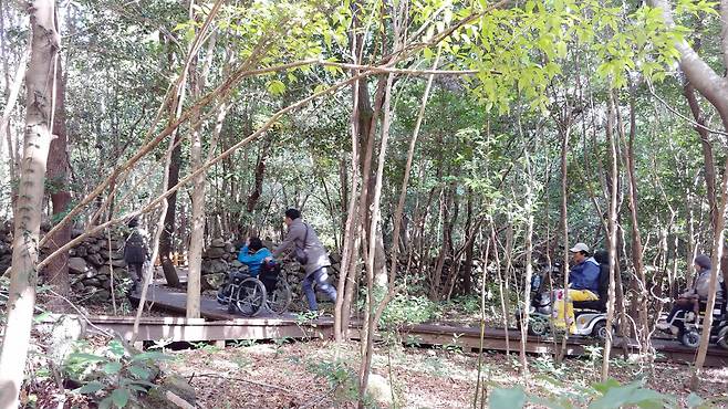 서귀포 치유의숲 휠체어길