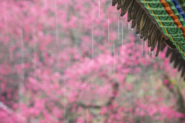 비가 내리는 풍경. 사진은 기사의 특정 내용과 관련 없음. 이미지투데이