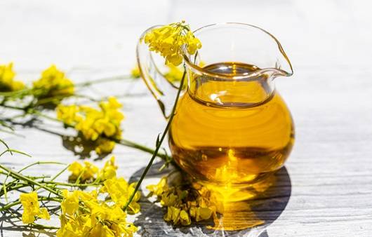 리놀렌산이 풍부한 카놀라유는 콜레스테롤 관리에 도움이 된다｜출처: 클립아트코리아