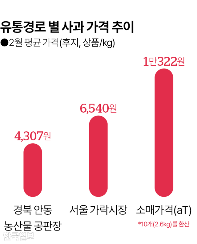 그래픽=김대훈 기자