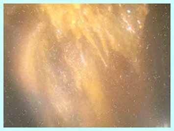 ▲ 후쿠시마 제1원전 원자로 1호기 격납용기 내 데브리가 포함된 것으로 추정되는 물체 사진 : 연합뉴스&nbsp;