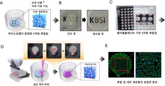 한국기초과학지원연구원이 개발한 하이드로젤 기반의 3차원 생체재료 복합 칩 제조와 3차원 세포배양 프로세스 개념도. 기초지원연 제공