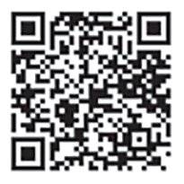 대한민국 마약루트를 가다