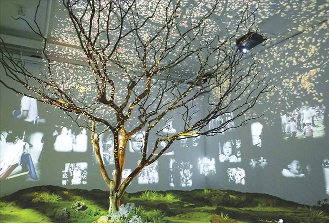 포도뮤지엄과 조경업체 수무가 공동 제작한 테마 공간 ‘Forget Me Not’(2024). 100여 년을 산 배롱나무의 생애를 표현했다. /포도뮤지엄 제공