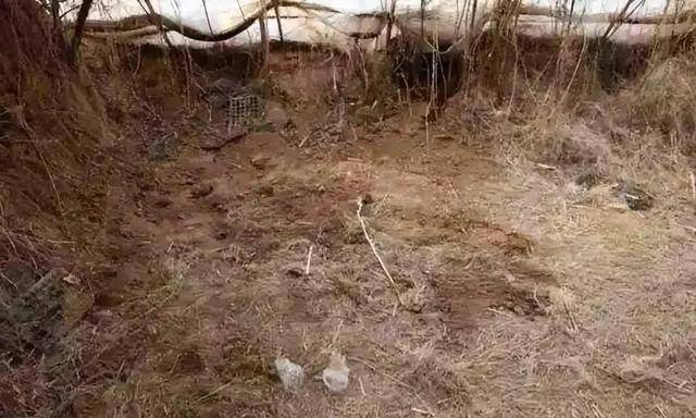 중국 학폭 살인 시신 암매장 장소. [사진출처 = 연합뉴스]