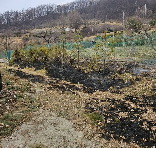 ▲ 현장 사진 : 충북 보은소방서&nbsp;