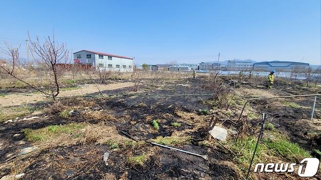 화재가 발생한 부산 강서구의 임야(부산소방본부 제공)