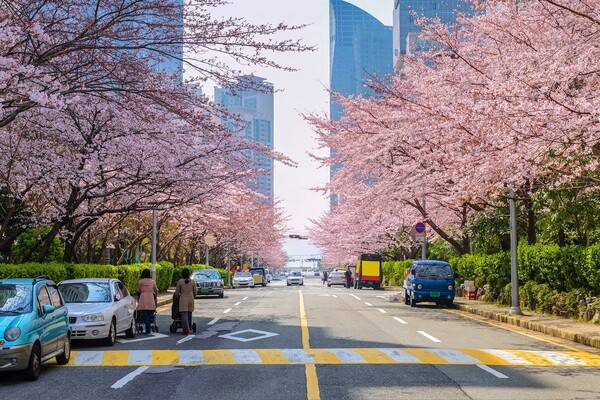 사진제공: 호텔스닷컴