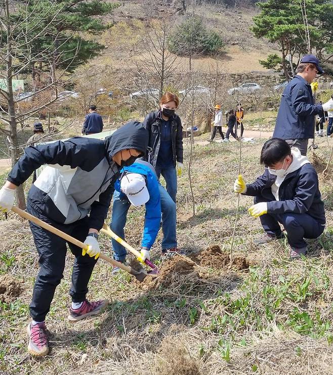 전남도가 올해 430만 그루의 나무를 심어 탄소흡수원을 확충하고 주민 소득 및 관광 자원화, 기후 위기 대응 기반을 구축한다. 전남도 제공