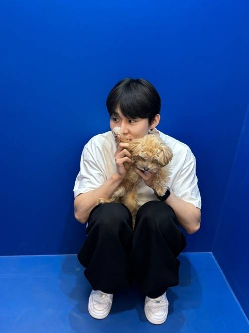 배우 서범준이 MK스포츠와의 펫터뷰를 진행했다. 사진=서범준