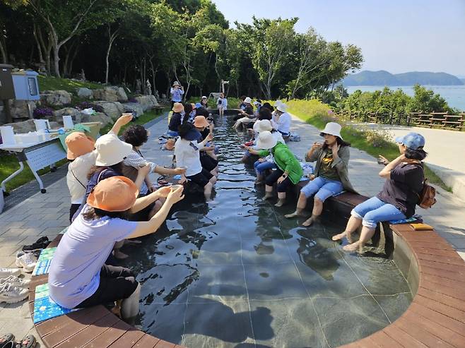 완도군 약산 해안치유의 숲./사진제공=완도군