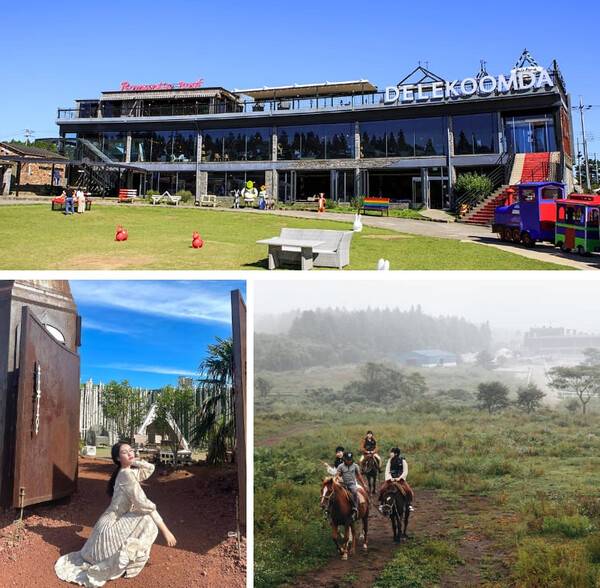 제주도 체험 BEST 5 /&nbsp;@10.__.28y