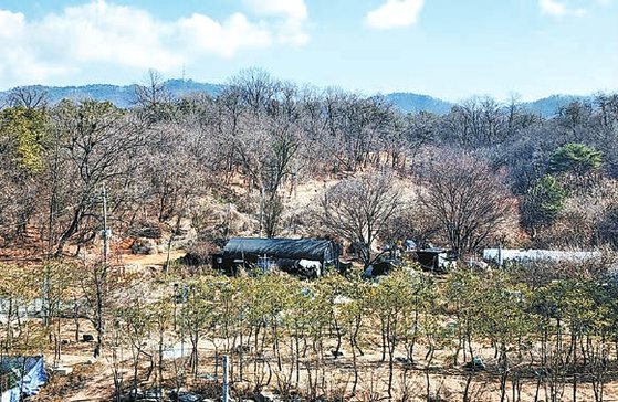 매각토지(사진)는 3기 신도시인 고양 창릉지구와 직선으로 100m 떨어져 있어 높은 미래가치가 기대된다.