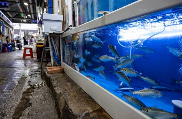 사진은 기사 내용과 관련이 없음. 국제신문DB