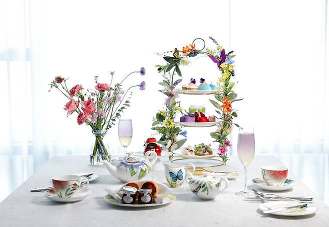 애프터눈 티 아마조니아 라인. 대구 메리어트 호텔 제공