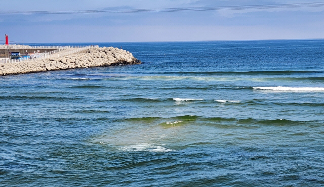 ▲ 최근 강릉 남항진 하구에 심각한 모래 퇴적 현상이 발생한 가운데 24일 바다 한 가운데 모래섬이 형성됐다.